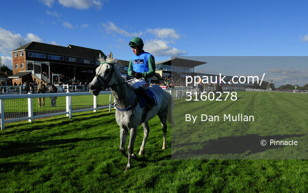 Exeter Races 101013