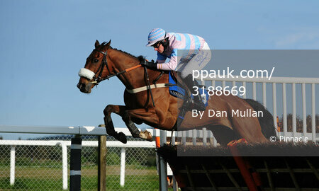 Exeter Races 030511