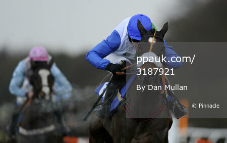 Exeter Races 151211