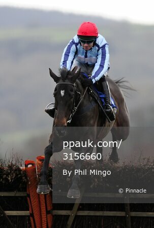Taunton Races 201211