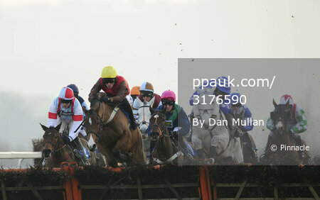 Taunton Races 310112