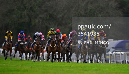Exeter Races, UK - 01 Jan 2023
