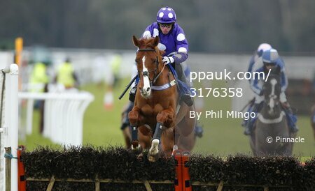 Exeter Races 260216