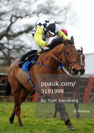 Taunton Races 030316