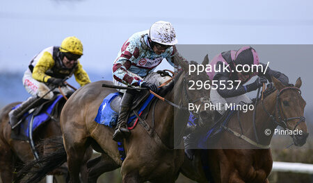Taunton Races, Taunton, UK - 3 Mar 2022