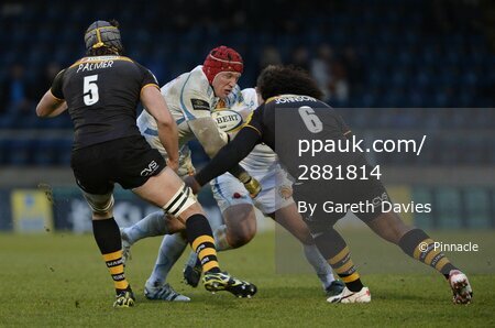 Wasps v Exeter Chiefs 050114