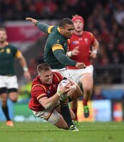 South Africa v Wales 171015