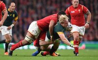 South Africa v Wales 171015